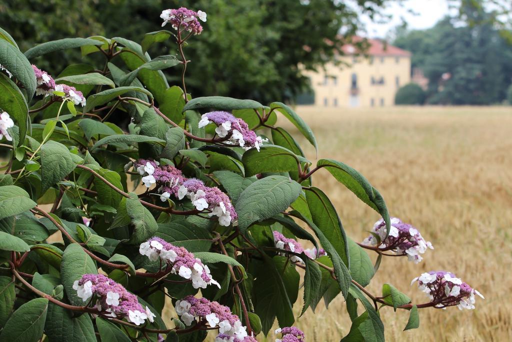 Agriturismo Il Torrione Pinerolo Exterior foto